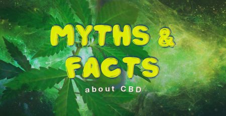 myths and facts about cbd