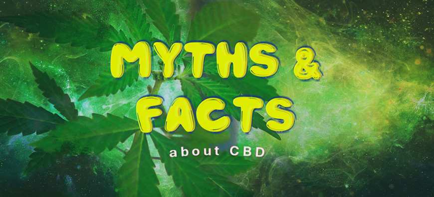 myths and facts about cbd