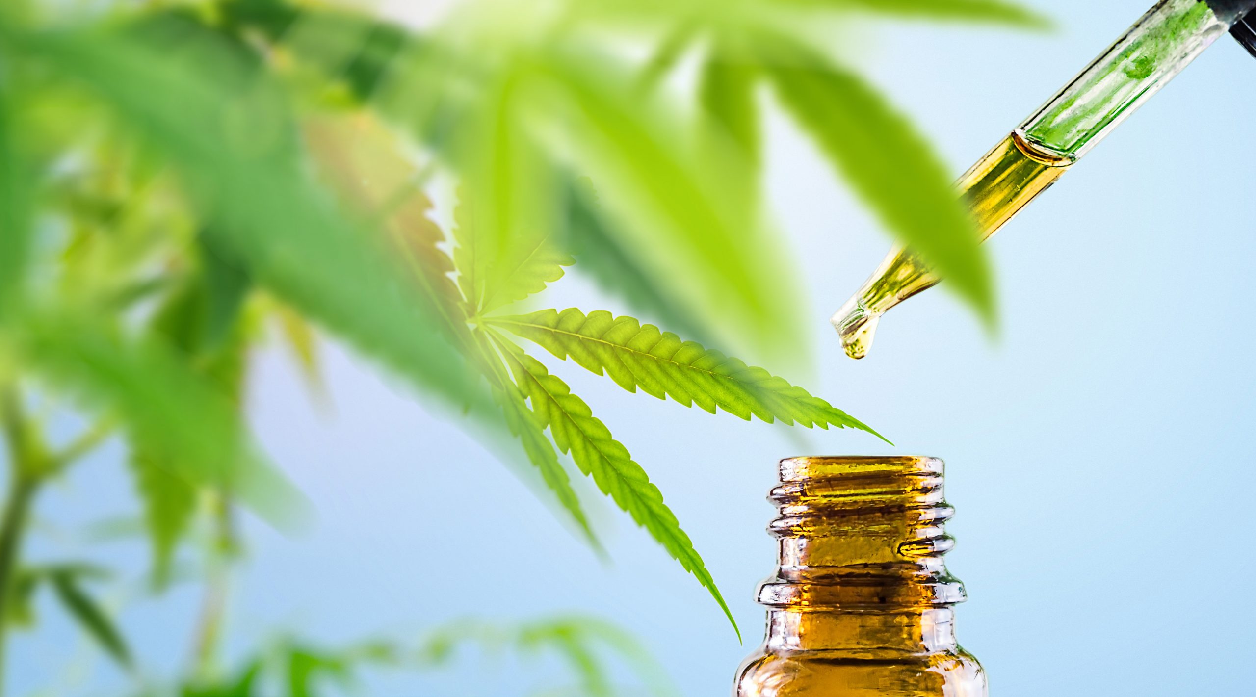 CBD